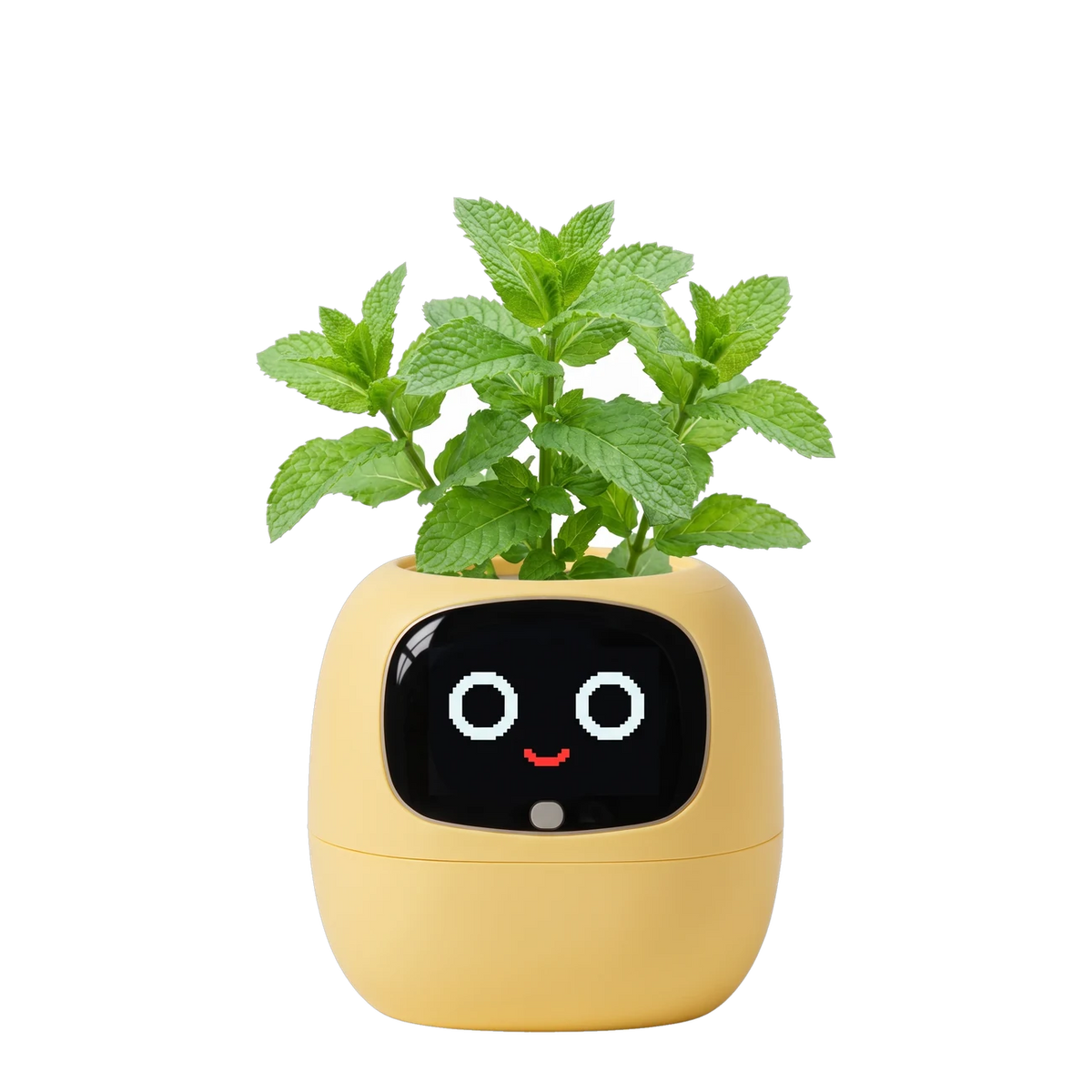 FACEPLANT Pot